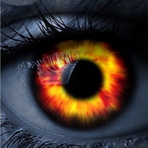 Meet your Posher, Michael d